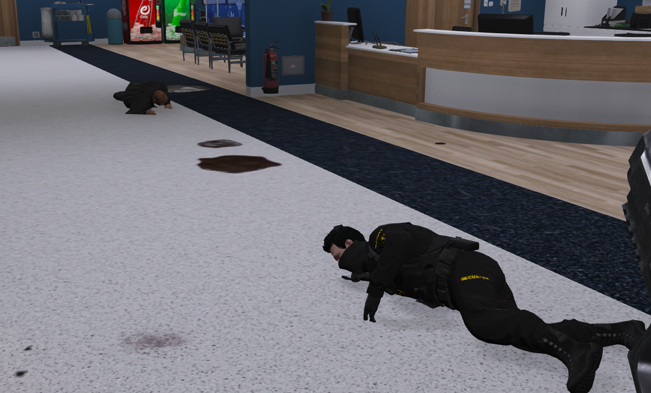 Galeria 1